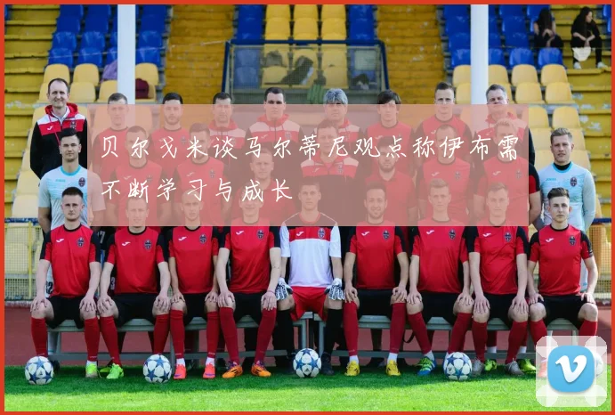 贝尔戈米谈马尔蒂尼观点称伊布需不断学习与成长